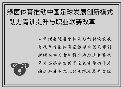 绿茵体育推动中国足球发展创新模式 助力青训提升与职业联赛改革