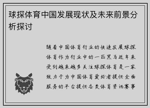 球探体育中国发展现状及未来前景分析探讨